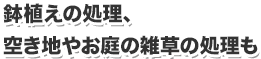 鉢植えの処理、 空き地やお庭の雑草の処理も